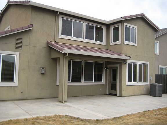 lush green grass now