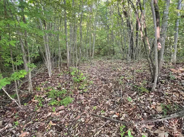 0 Shakesville Rd #7.5, Bristol, VA 24201