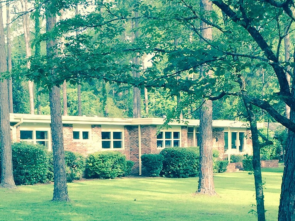 Manicured Yard