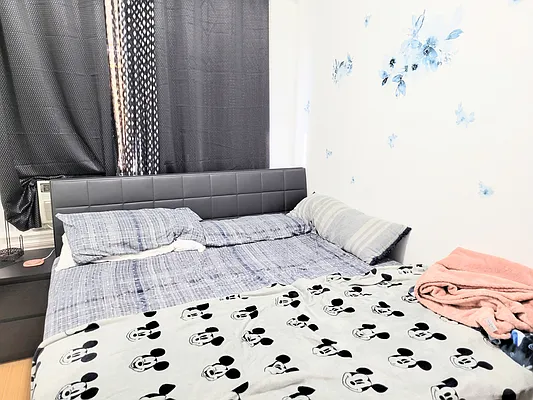 Rented by Virtual Real Estate | media 7