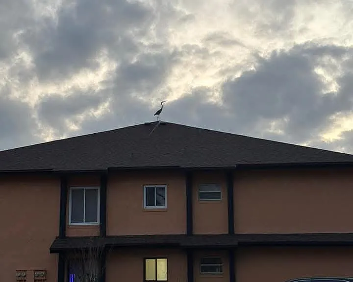 Village at Indigo Lakes Apts. — Photo 19
