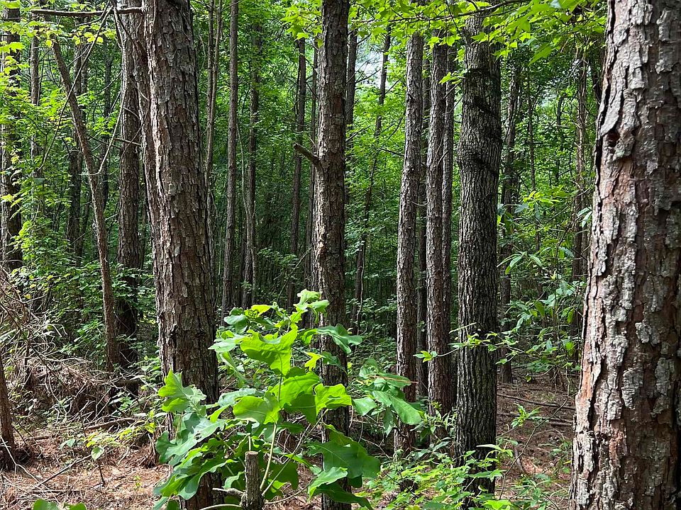 Xx Gladys, Amity, AR 71921 Zillow