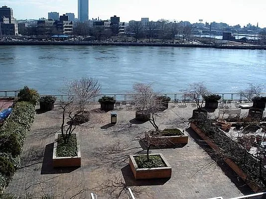 Sold by Stribling | media 5