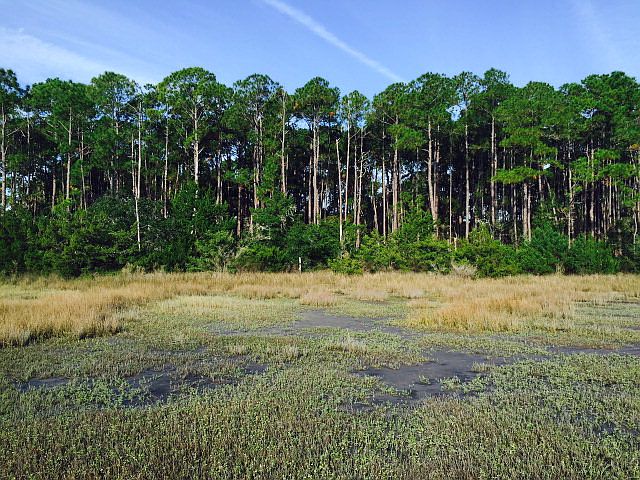 1st image of  Piney Island Dr