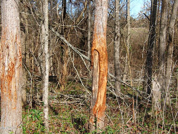 3rd image of 577 Black Jack Rd