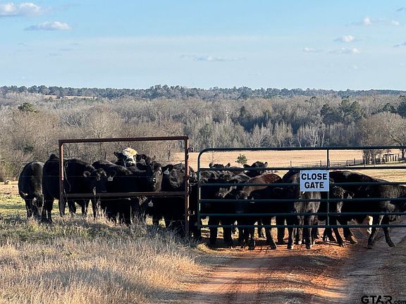 5th image of 7240 E State Highway 294