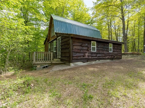 14114 S Bonaparte Rd, Harrisville, NY 13648