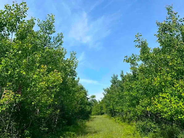 Chalk Hills Rd, Daggett, MI 49821