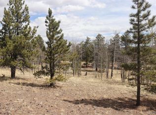 4885 Campfire Rd #1171, Hartsel, CO 80449
