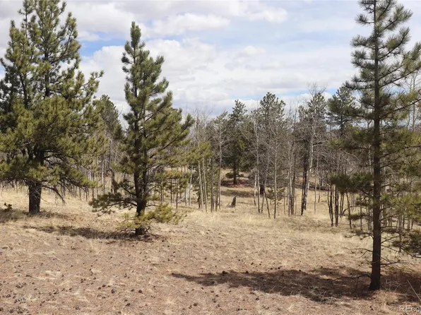 4885 Campfire Road LOT 1171, Hartsel, CO 80449