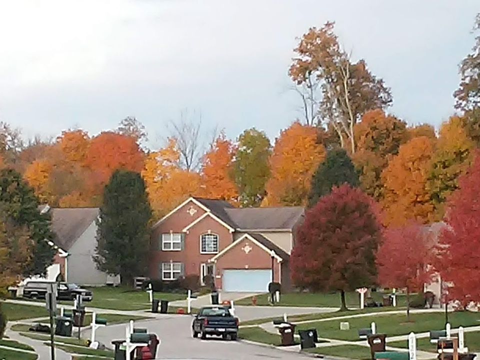 View down the street