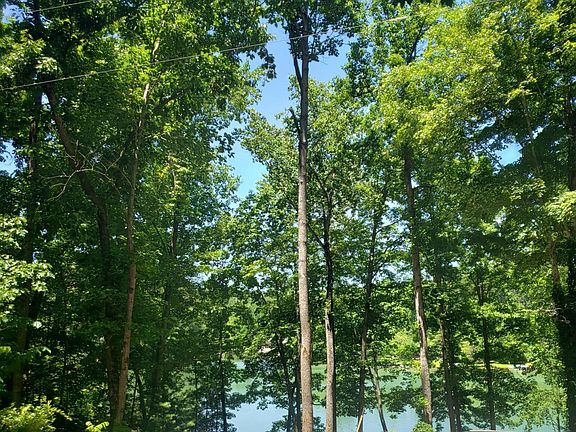 2nd image of Laurel Lake Cir