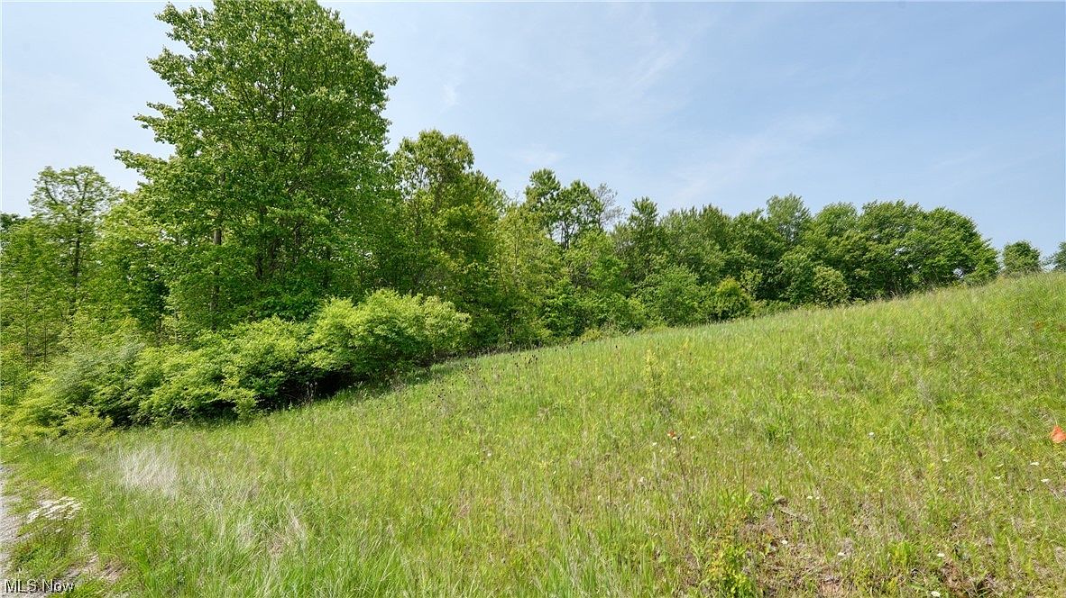 63580 Wintergreen Rd, Lore City, OH 43755 MLS 4460462 Zillow