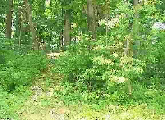 2nd image of 4023 Eagles Nest Dr