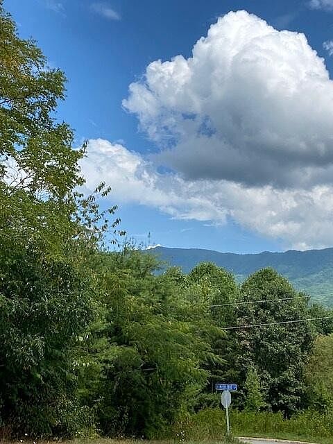 1st image of 56 Mistletoe Loop Lot 31M-A