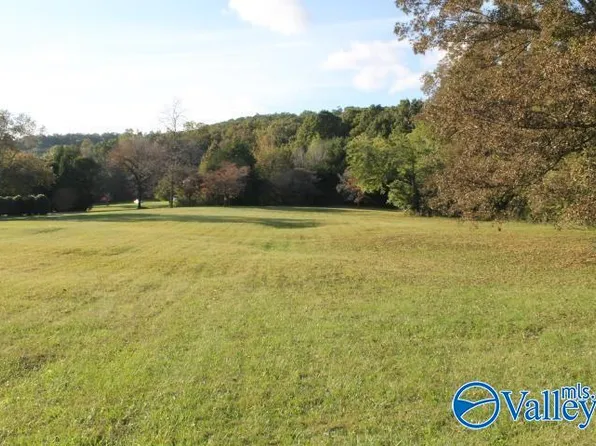1.86 County Road 622, Valley Head, AL 35989
