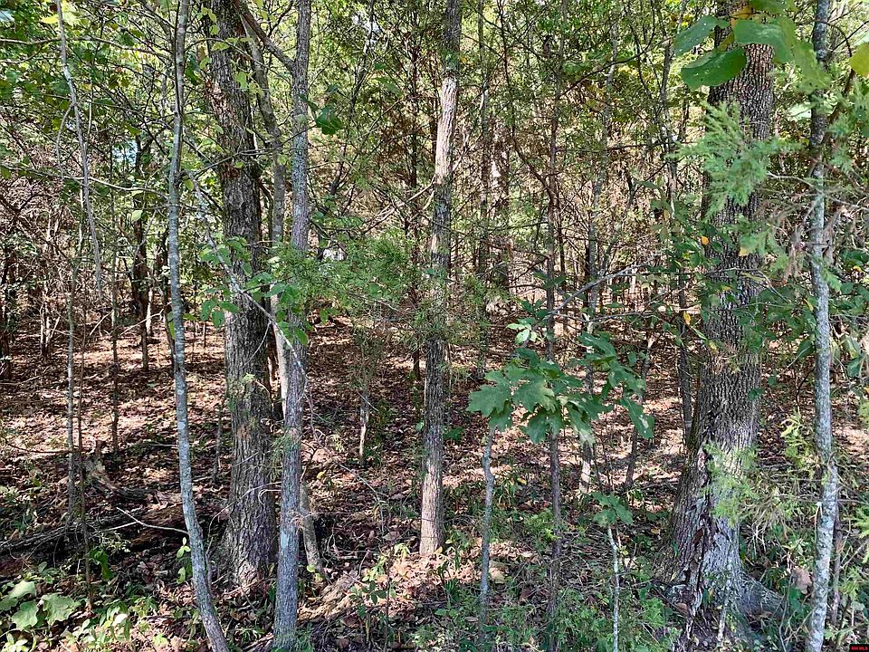 2nd image of Buzzard Roost Rd