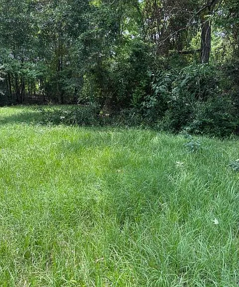 860 Pitts Rd — Photo 4