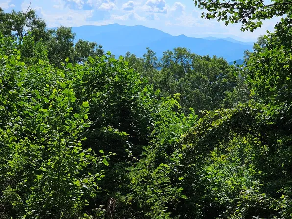 LOT 2C Pigeon Creek Rd, Bryson City, NC 28713