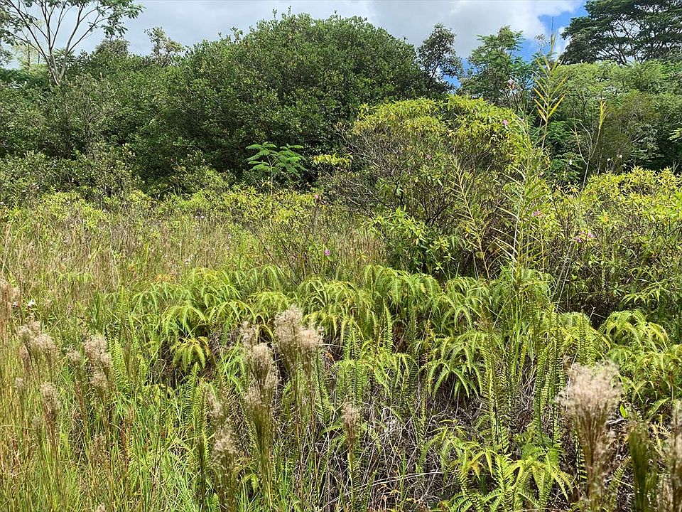 1st image of Poouli Road Rd #10-lot 5828