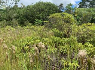 Poouli Road Rd #10-LOT 5828, Kurtistown, HI 96760
