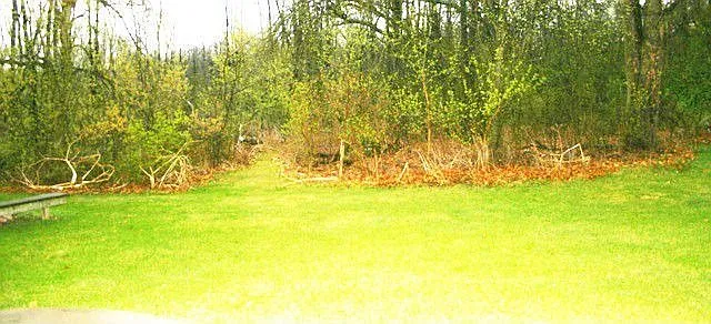 61 Lisa Cir photo 1