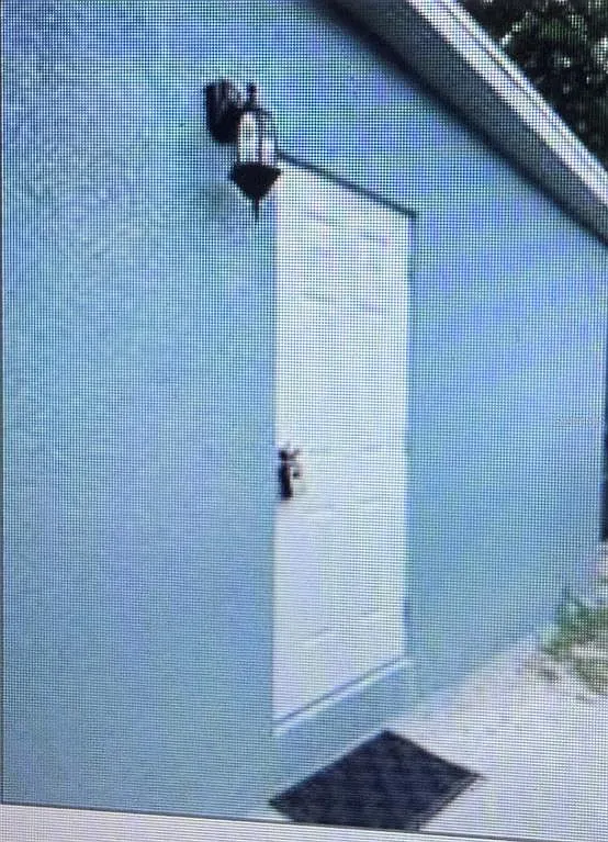 1 bed, 1.0 bath, 264 sqft, $800 — Photo 1