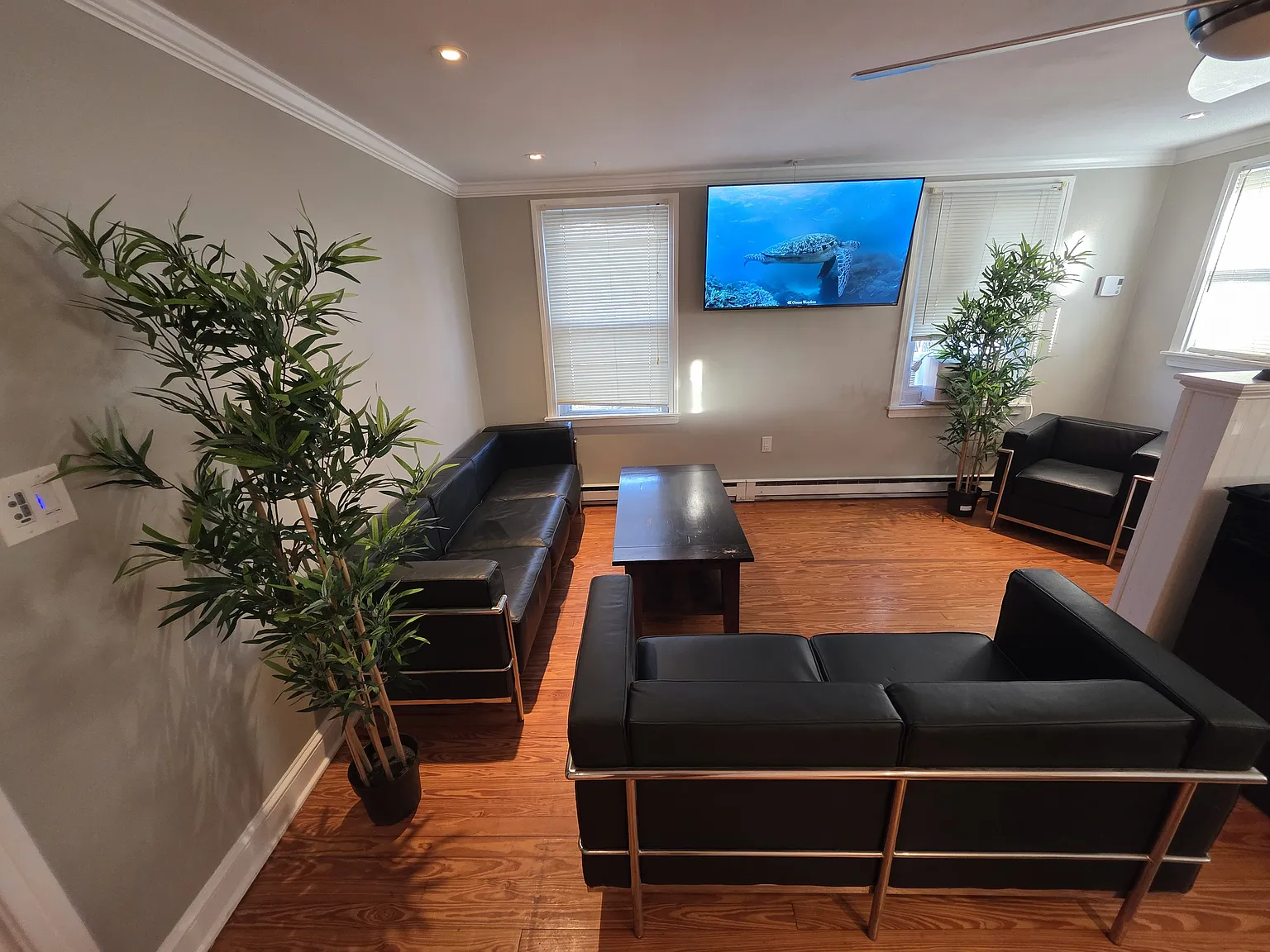 1 bed, 805 sqft, $1,895 — Photo 1