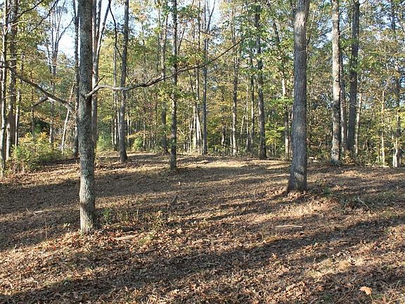 3rd image of 0 Tall Oak Trl
