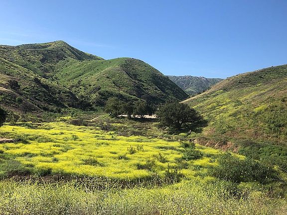 Community mountain park