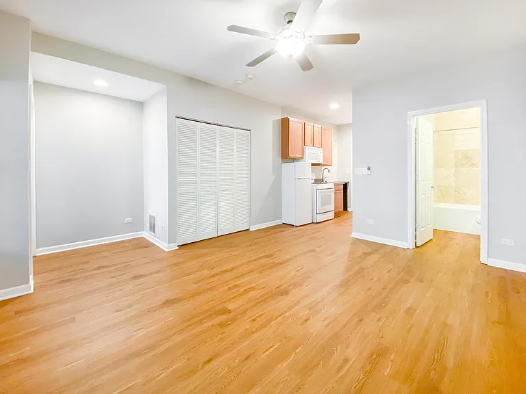 1456 S Halsted St #1 — Photo 4
