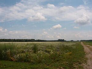 2nd image of 2152 Seventeen Mile Rd