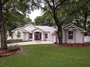 2901 Manor Ridge Pl, Valrico, FL 33596