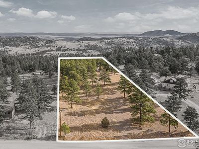 92 Mount Massive Dr, Livermore, CO, 80536