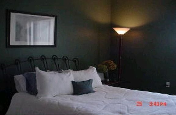 master bedroom with attached bath and walk in closet