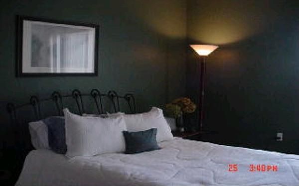 master bedroom with attached bath and walk in closet