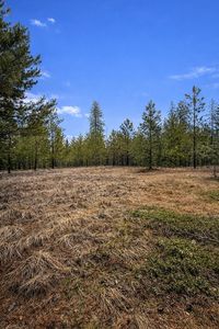 1420 Driskill Rd, Newport, WA, 99156