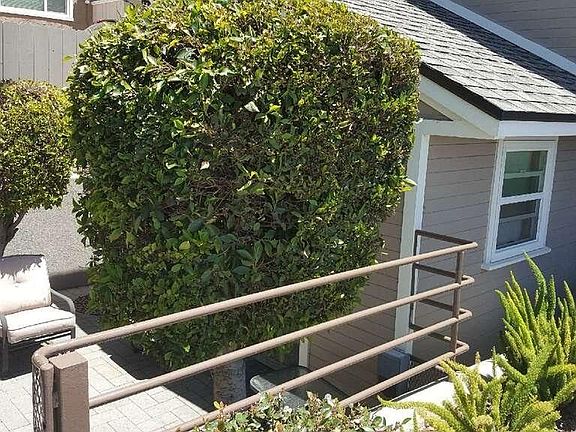 pic of unit front yard from front of building