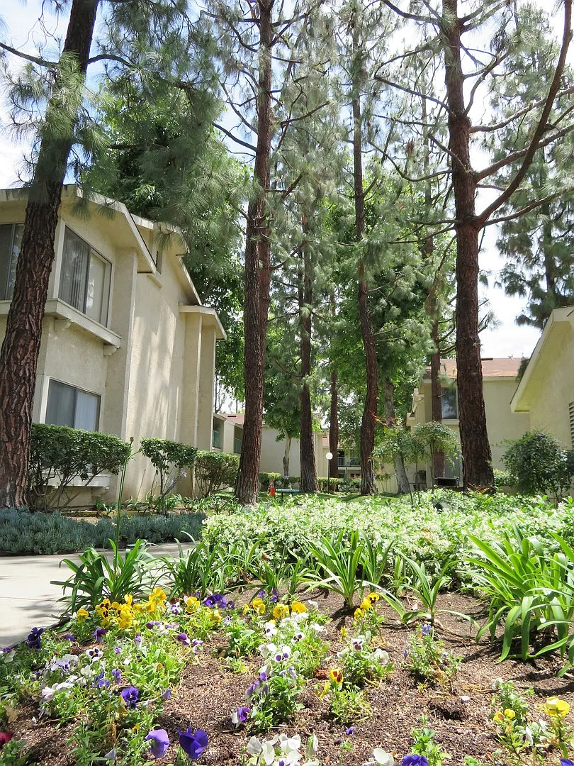 Jasmine Villas — Photo 4