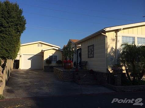 Photo Dec 31, 3 15 22 PM