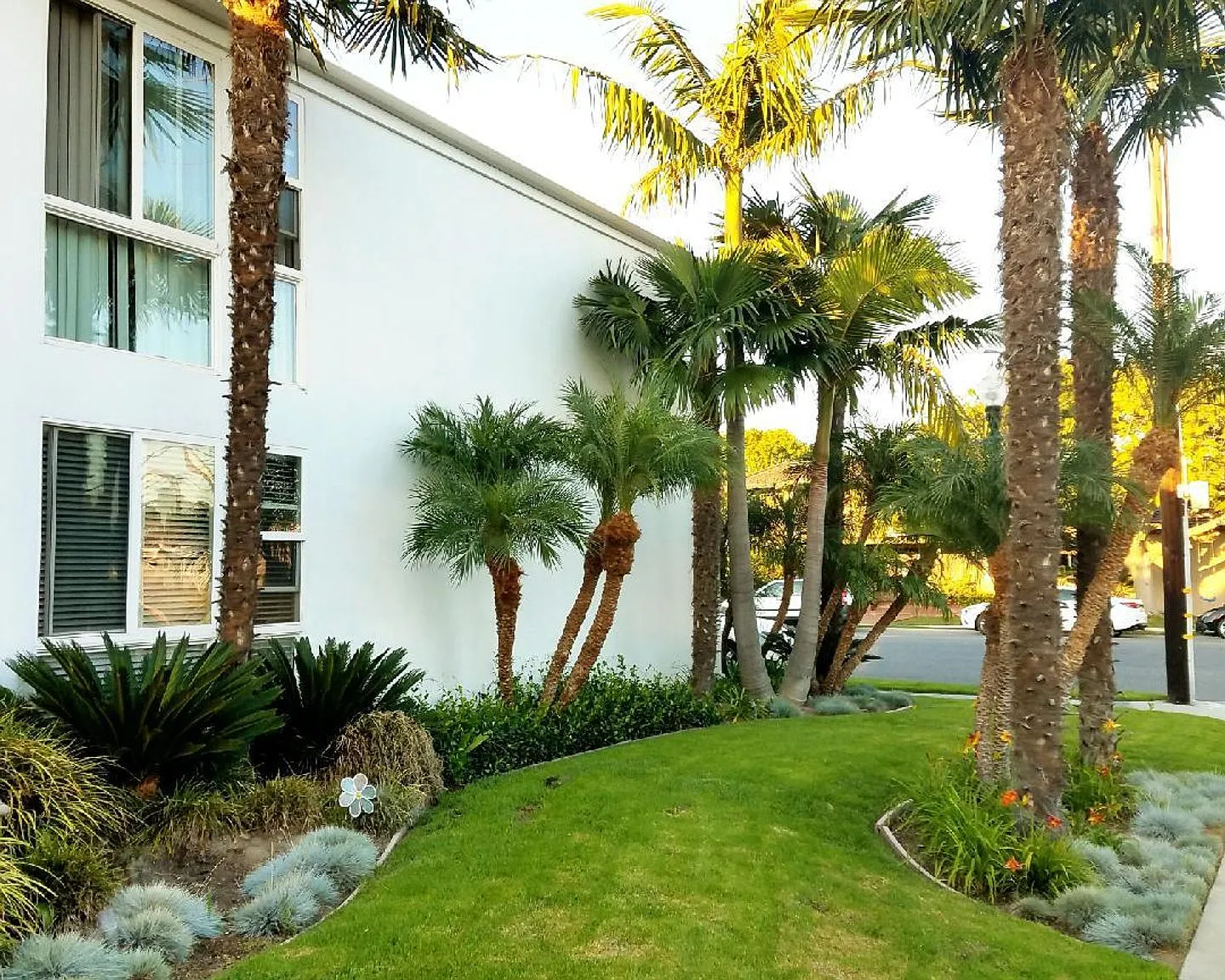 Howard & Lexington Apts — Photo 1
