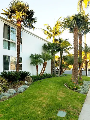 Howard & Lexington Apts Photo 1