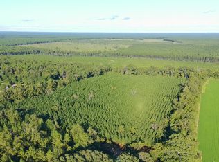 0 Lewis Rd, Milton, FL 32570