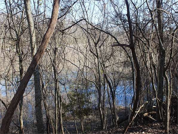 2nd image of 38351 Fm 1736 Rd
