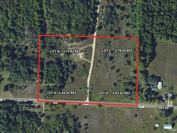 10922 Eleven Mile Rd Lot A & B, Bear Lake, MI 49614