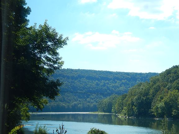 View from Living Room Window