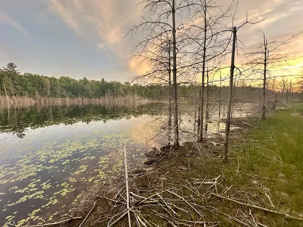 0 County Road 455, Mc Millan, MI 49853