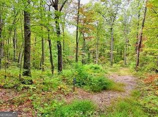 30 Skyview Dr, Hayesville, NC 28904