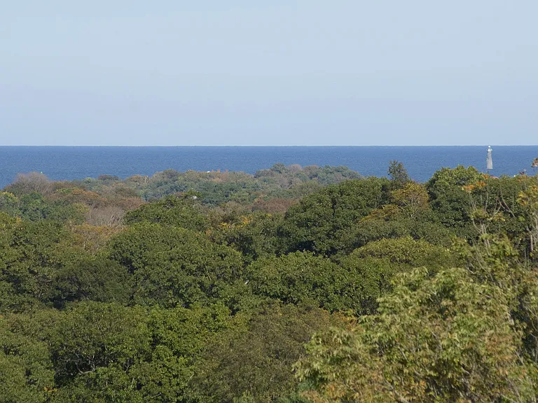 The Preserve at Cohasset — Photo 26