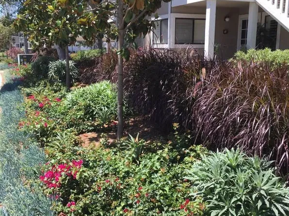 111 Tarocco, Irvine, CA